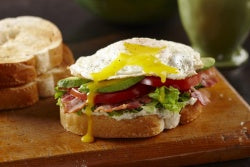 BLT with Fried Egg